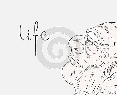 Senior face and life message Vector Illustration