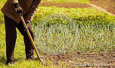 Farmer digging spring farmland soil Stock Photo