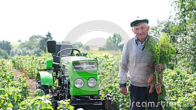 Senior farmer shows the harvest in the field in summer. Stock Photo