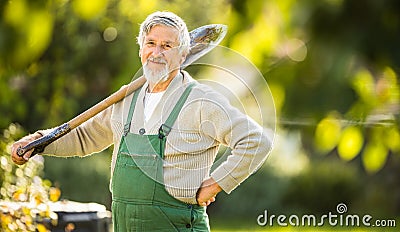 Senior gardenr gardening in his permaculture garden Stock Photo