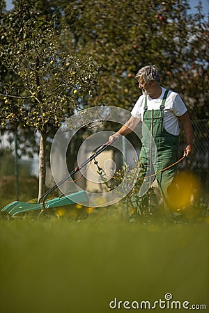 Senior gardenr in his permaculture garden - mowing the lawn Stock Photo