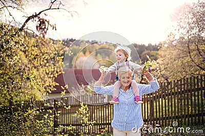 Senior grandmother with toddler granddaughter standing in nature in spring. Stock Photo