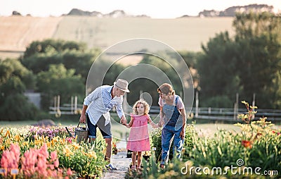 Senior grandparents and granddaughter gardening in the backyard garden. Stock Photo