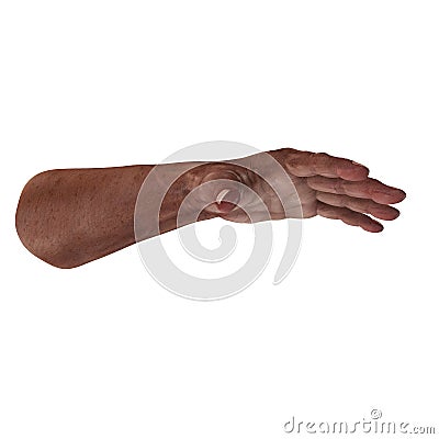 Senior hands on a white. 3D illustration Cartoon Illustration