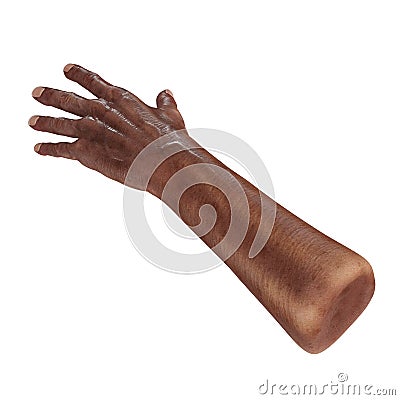 Senior hands on a white. 3D illustration Cartoon Illustration