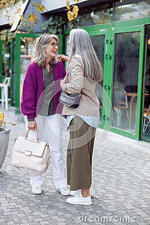 Senior lady talks to silver haired friend meeting on modern city street Stock Photo