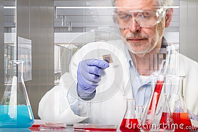 Senior life science research researching in modern scientific laboratory. Stock Photo