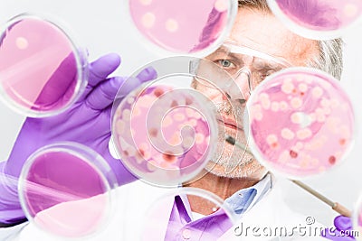 Senior life science researcher. Stock Photo