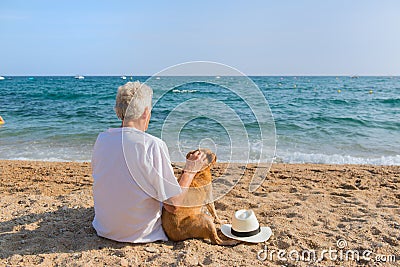 Senior man with dog at the beach Stock Photo