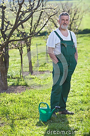 senior man gardening in his garden Stock Photo