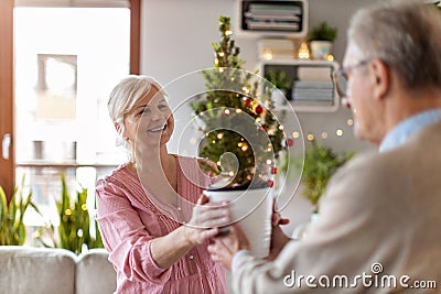 Senior man giving wife small potted Christmas tree Stock Photo