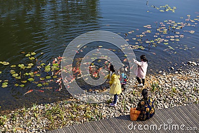 Senior man with his child feeding carp by the pond in the park in the afternoon Stock Photo