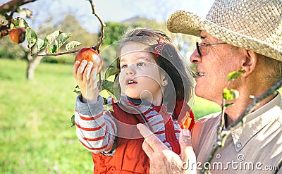 Senior man holding adorable little girl picking Stock Photo