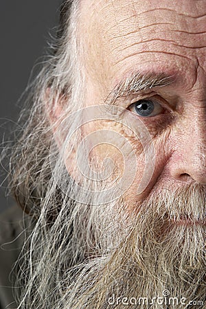 Senior Man With Long Beard Stock Photo