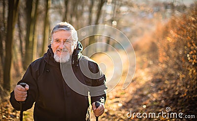 Senior man nordic walking Stock Photo