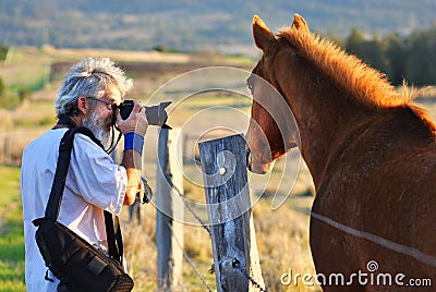 Senior man photographer photographing horse countryside sunset Editorial Stock Photo