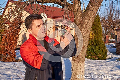 Senior man with shears in hand pruning tree branches Stock Photo