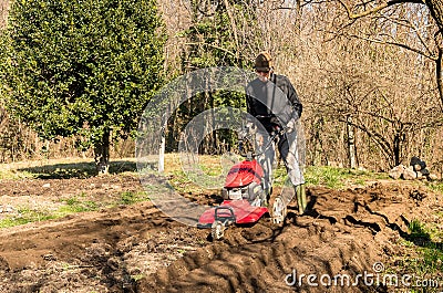 Senior man tilling ground soil with a rototiller in the garden. Stock Photo