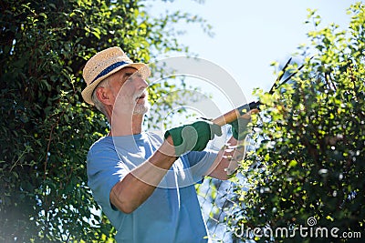 Senior man trimming plants with pruning shears Stock Photo