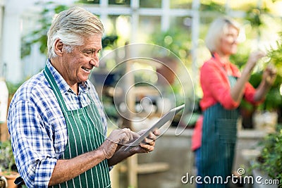 Senior man using tablet computer while wife working at greenhouse Stock Photo