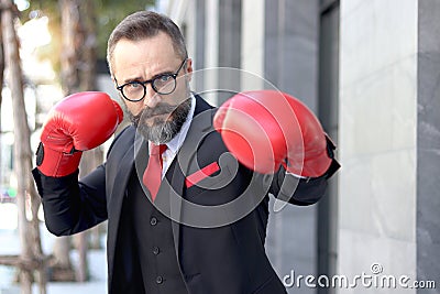 Senior mature bearded businessman wearing red boxing gloves or mitt punch, the metaphors about fight business for successful, Stock Photo