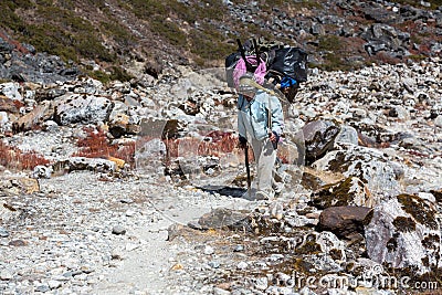 Senior Nepalese Porter carrying heavy Weight Luggage Editorial Stock Photo