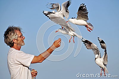 Senior older man hand feeding seagulls sea birds on summer beach holiday Stock Photo