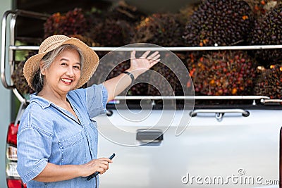 Senior owner Asia woman showing the bunch of red palm seed on car truck Stock Photo