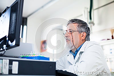 Senior researcher using a computer in the lab Stock Photo