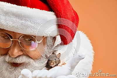 Senior Santa Claus in white gloves domesticate little rat Stock Photo