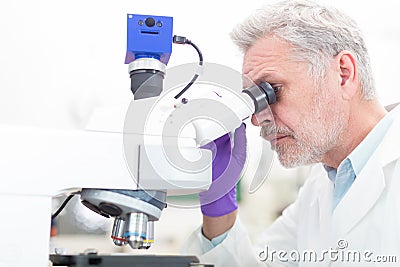 Senior scientist microscoping in lab. Stock Photo