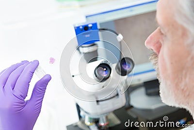 Senior scientist microscoping in lab. Stock Photo