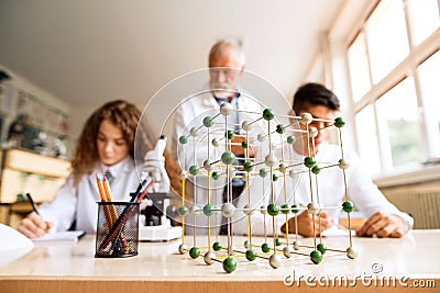 Senior teacher teaching biology to high school students in labor Stock Photo