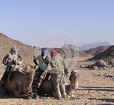 Senior tourist on camel 1 Stock Photo
