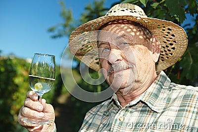 Senior vintner tasting wine Stock Photo