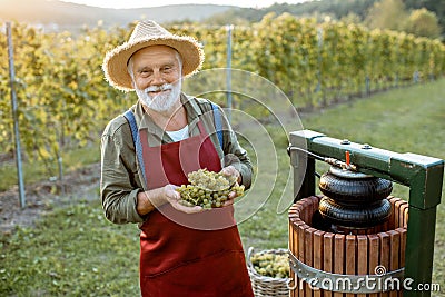 Senior winemaker with grapes near the winepress machine outdoors Stock Photo