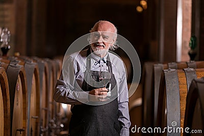 Senior winemaker tasting red wine near a big oak barrel Stock Photo