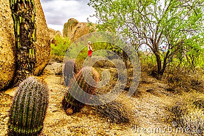 Senior Woman amidst Cacti and large Boulders in the Arizona Desert Stock Photo