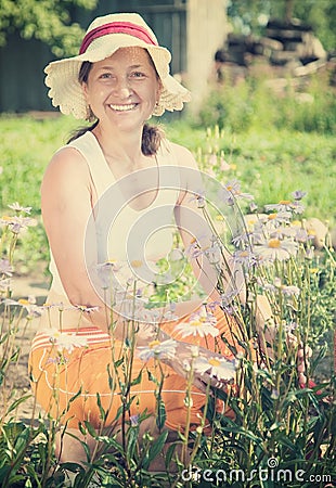 Senior woman with blue camomile Stock Photo