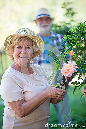 Senior woman cutting flower with pruning shears Stock Photo