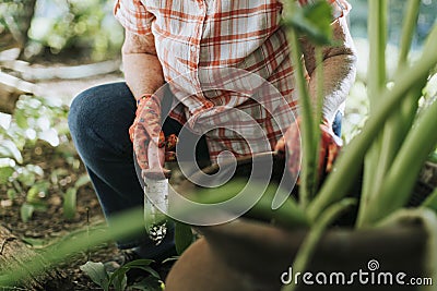 Senior woman digging in her garden Stock Photo