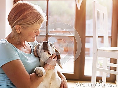 Senior woman and dog Stock Photo