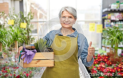 senior woman with garden tools showing thumbs up Stock Photo