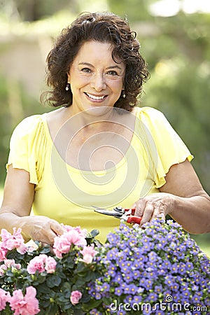 Senior Woman Gardening Stock Photo