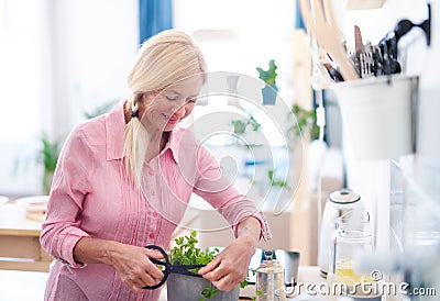 Senior woman preparing food in kitchen indoors, cutting herbs. Stock Photo