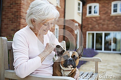 Senior Woman Sitting On Bench With Pet French Bulldog In Assisted Living Facility Stock Photo