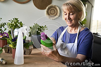 Senior woman treating her plants with a fertilizer Stock Photo