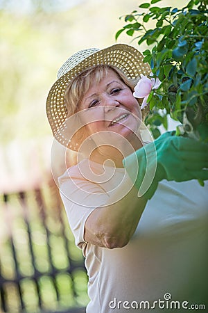 Senior woman trimming plants with pruning shears Stock Photo