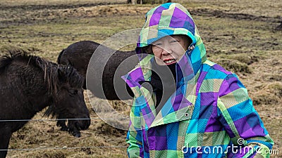 Senior woman trip in Iceland with icelandic horses Stock Photo