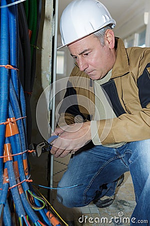 Senior worker twisting tie around bundle cable trunking Stock Photo